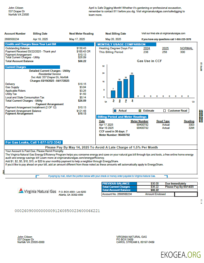 USA Virginia Natural Gas utility bill template in Word and PDF formats